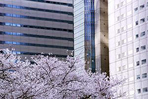 中古マンション買取に強い宮崎市の業者