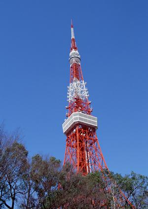 高松市で経験豊富なスタッフが対応