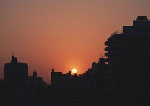 無垢材で注文住宅を建てても安心価格